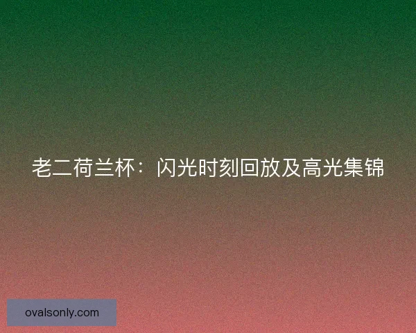 老二荷兰杯：闪光时刻回放及高光集锦